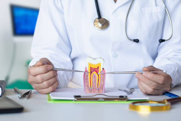 Best Pediatric Emergency Dentist in Temperance, MI